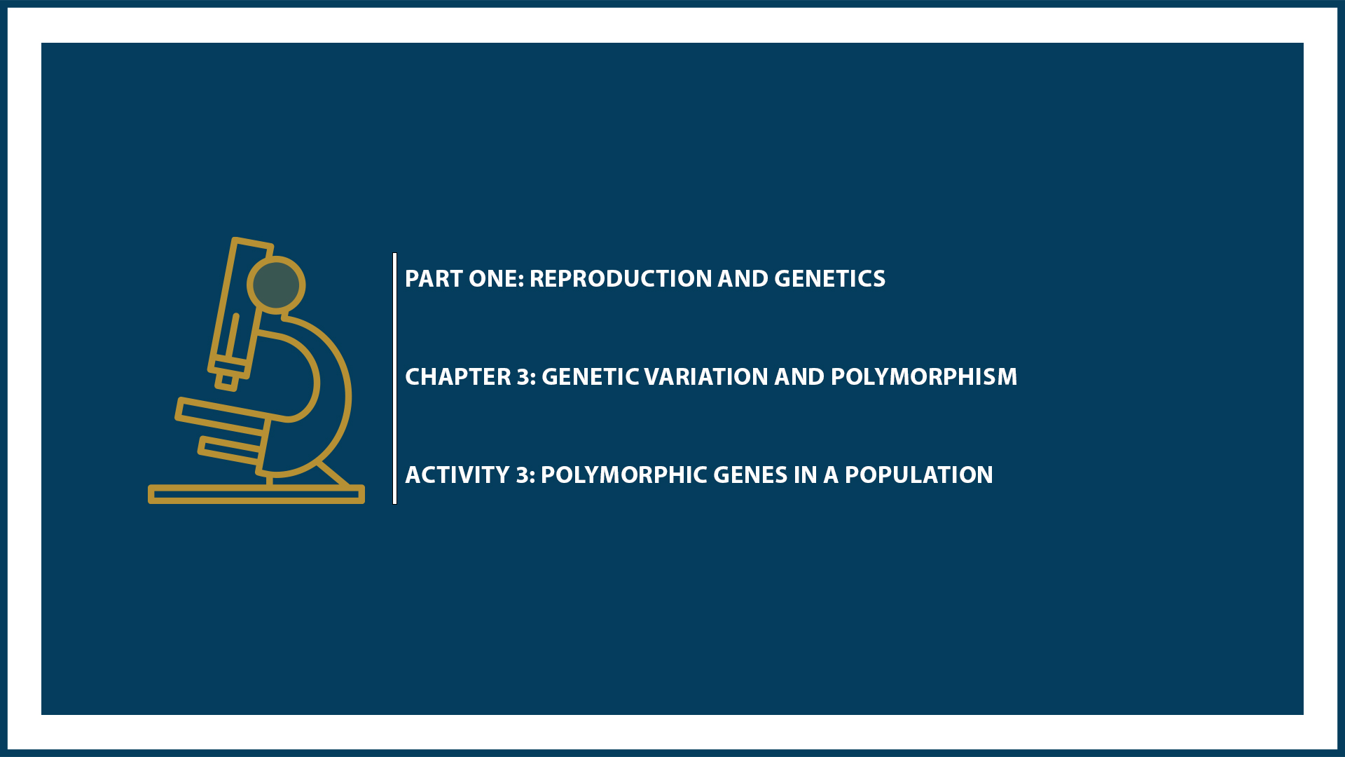 Unit One: Chapter 3 - Document 3: Polymorphic genes in a population